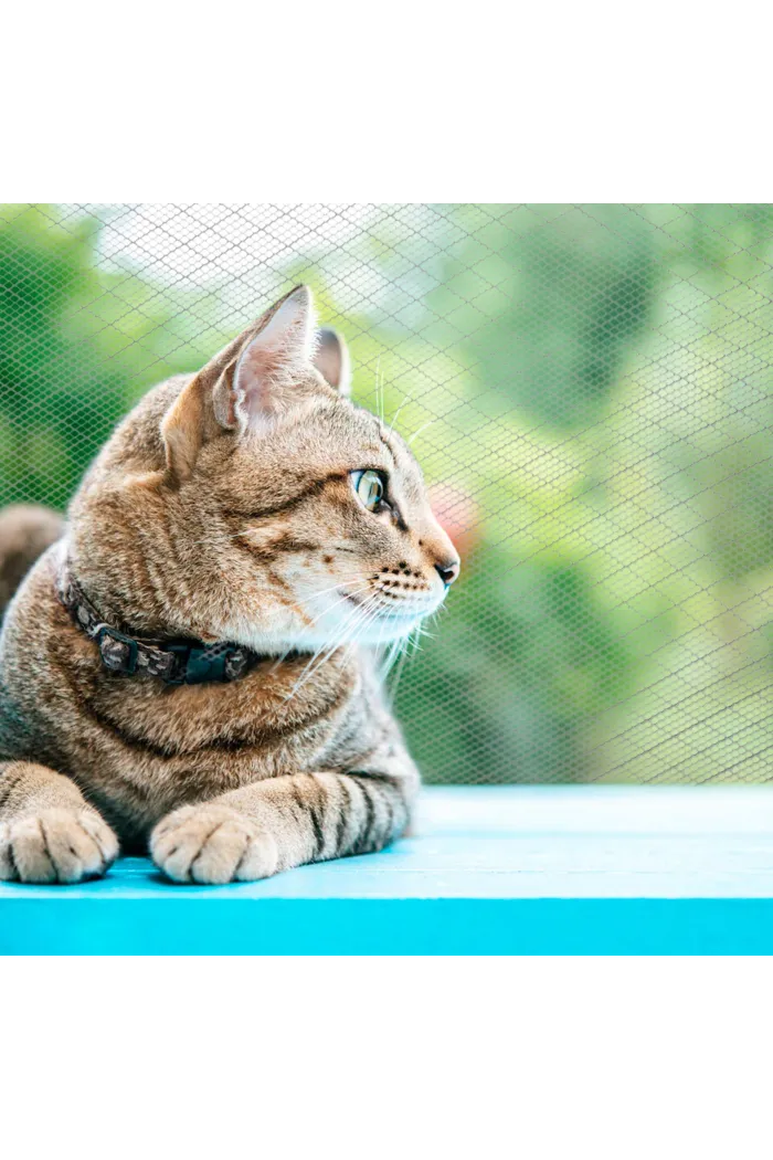 Malla de plástico (2x2 mm) fino blanco 180g/m²