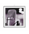 Cuadro decorativo Black & White (50x50 cm) - Micrófono