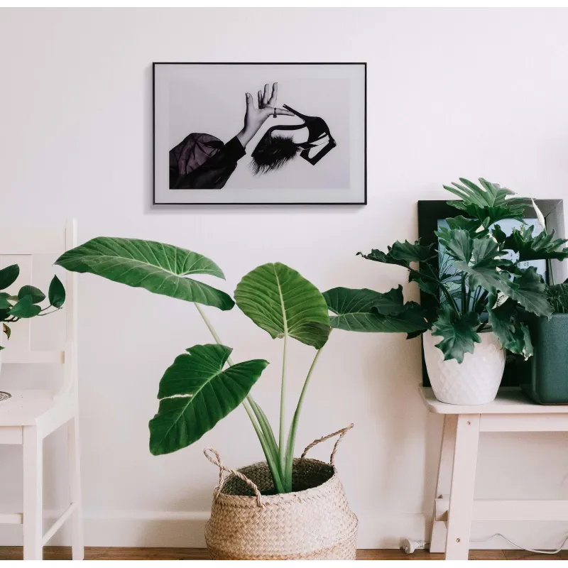 Set 3 Cuadros decorativo Black & White (40x60 cm)