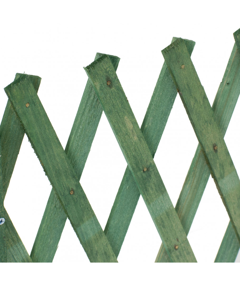 Celosia extensible madera verde 200x100