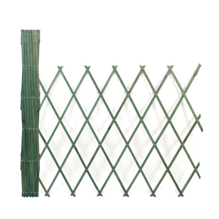 Celosía extensible de madera para jardín 200x100 cm - Verde