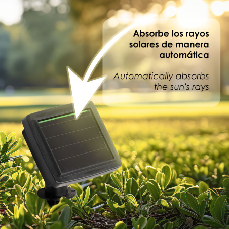 GUIRNALDA LUZ SOLAR PS S/20 (4,80 M)