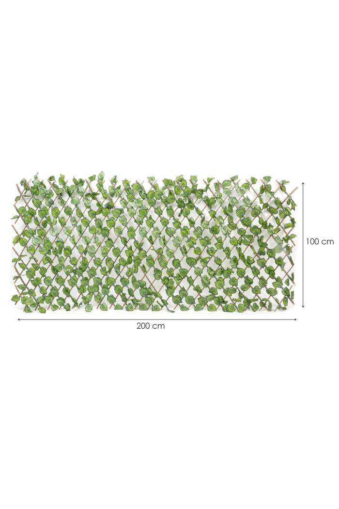 Celosía Extensible de Madera con Hojas de 200 cm x 100 cm