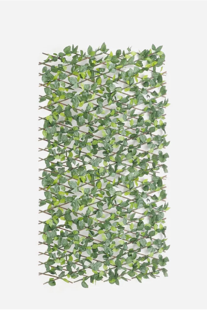 Celosía de Mimbre Extensible Verde Con Hojas 190X100cm