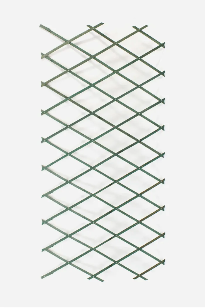 Celosía extensible de madera para jardín 300x100 cm - Verde