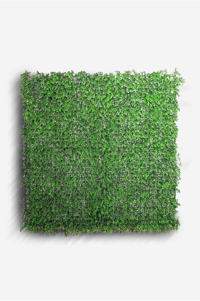 JARDIN VERTICAL 100X100CM