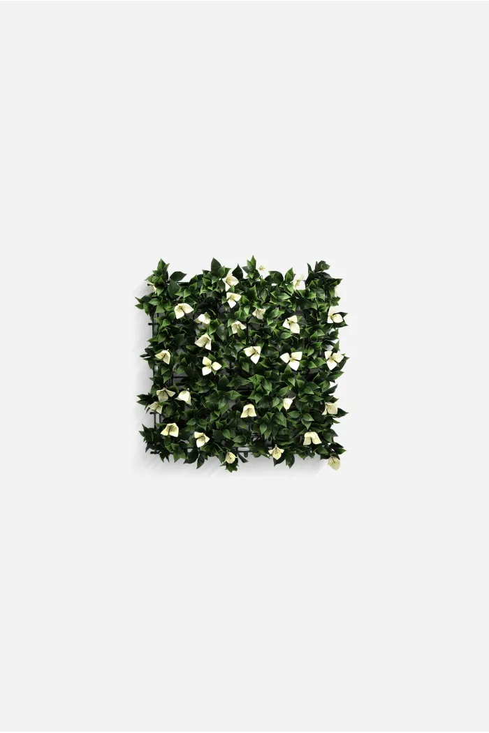 JARDIN VERTICAL 50X50cm