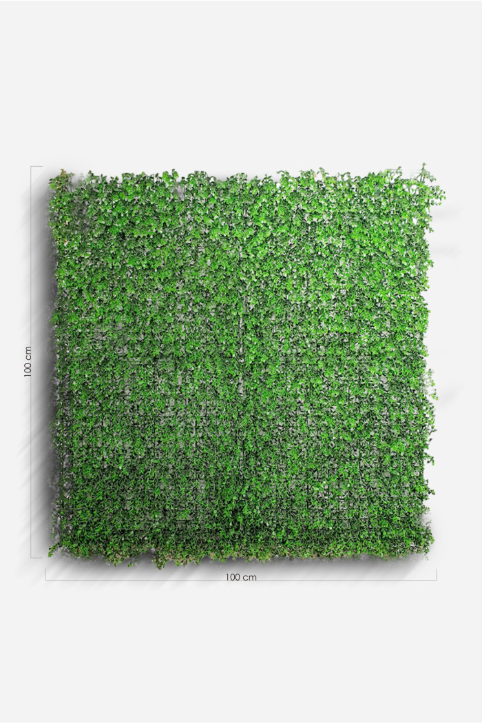 JARDIN VERTICAL 100X100CM