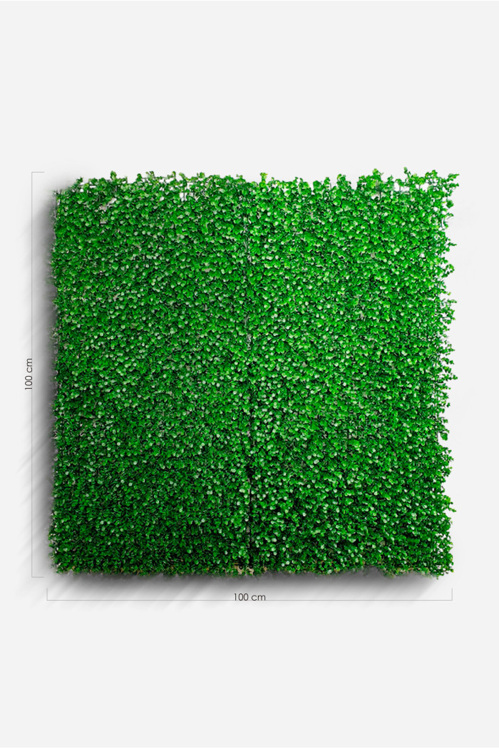 JARDIN VERTICAL 100X100CM