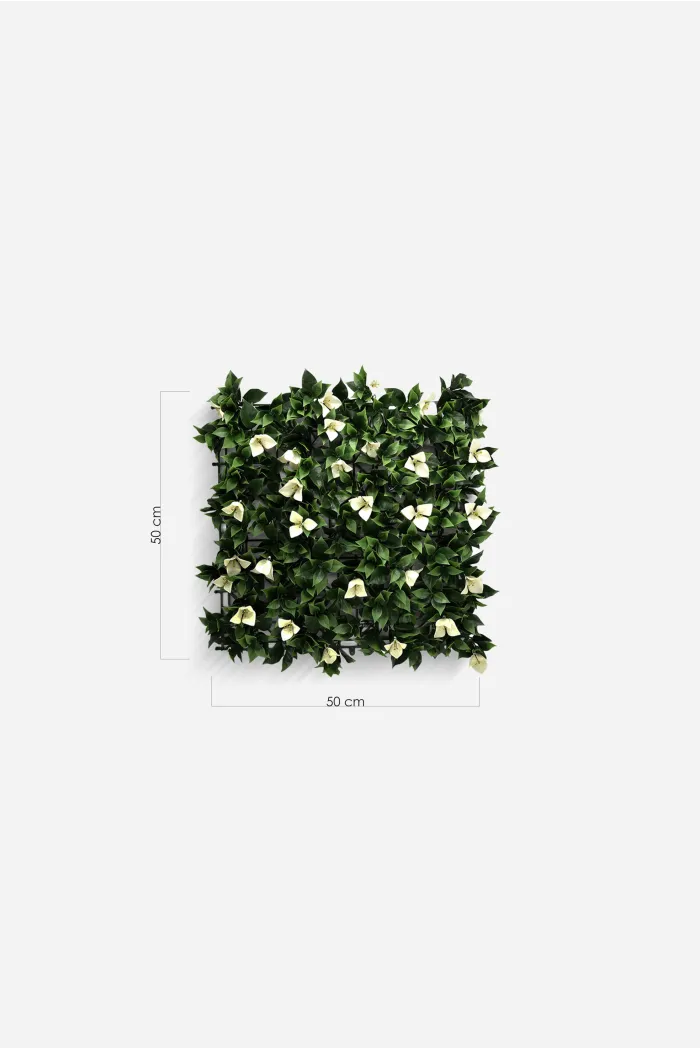 JARDIN VERTICAL 50X50cm