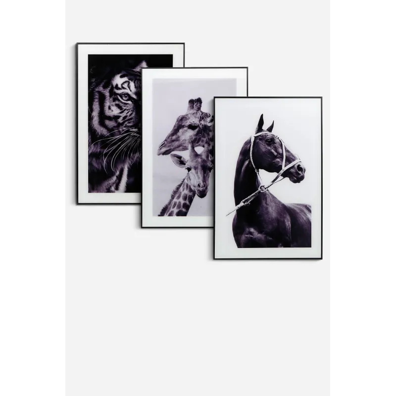 Set de 3 Cuadros de Cristal en Varios Modelos - 60x40 cm