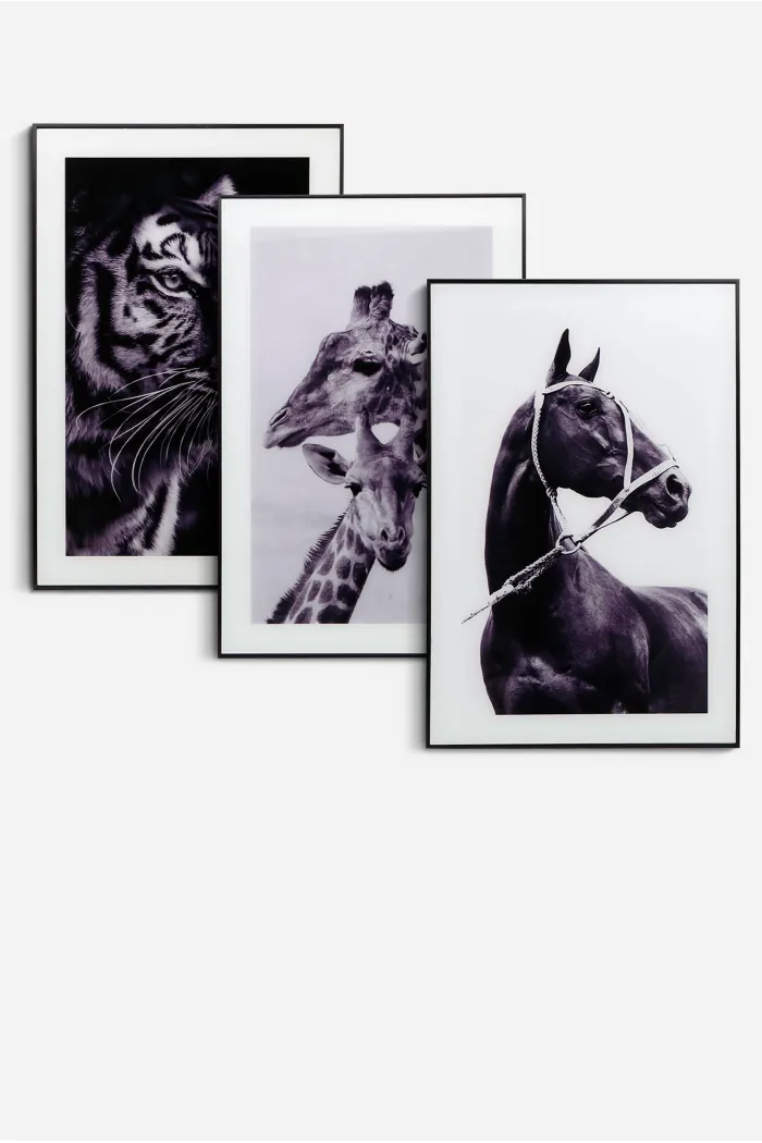 Set de 3 Cuadros de Cristal─ 60x40 cm