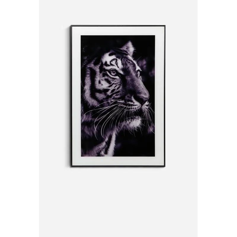 Set de 3 Cuadros de Cristal en Varios Modelos - 60x40 cm