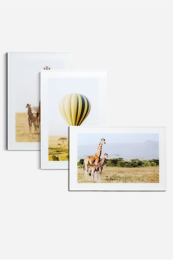 Set de 3 Cuadros de Cristal─ 40x60 cm