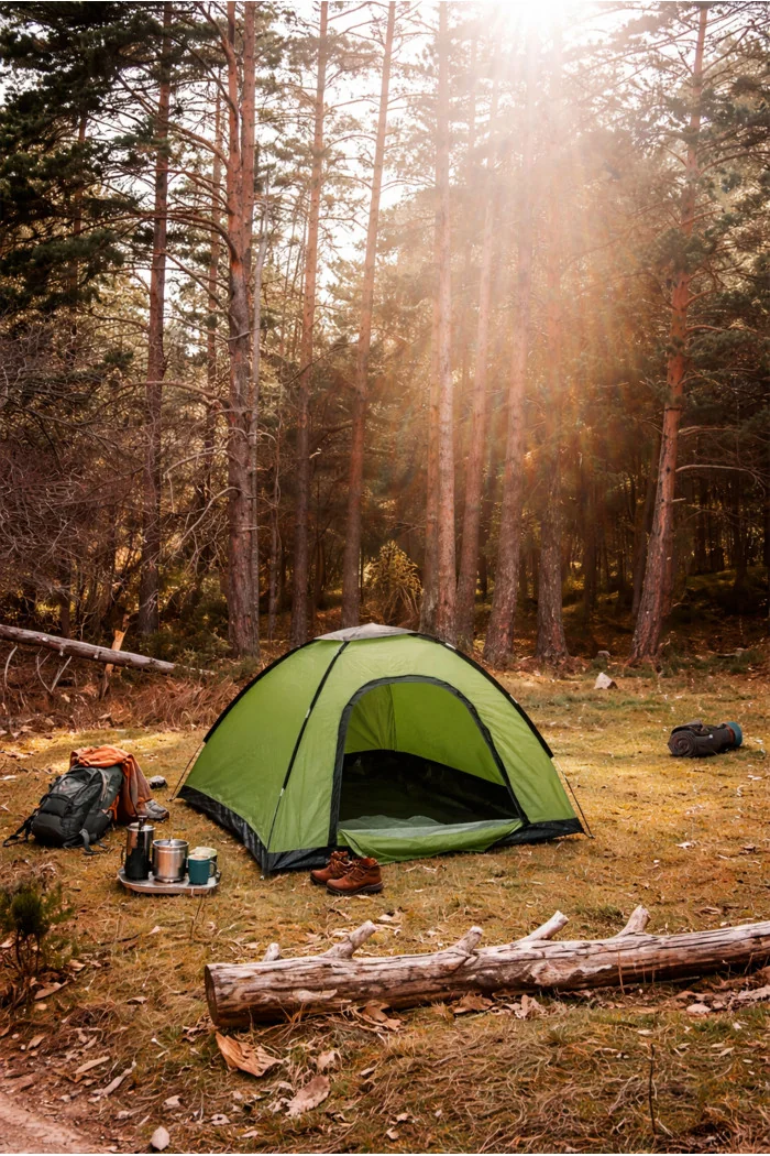 Tienda de Campaña para 4 Personas 2 Colores - 200x200x130 cm