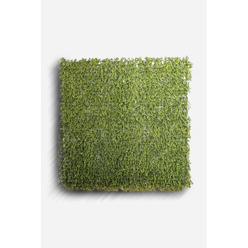 Jardín Vertical de Polietileno de 100x100 cm - Varios Modelos