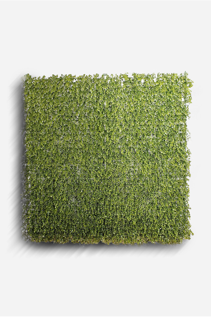 Jardín Vertical de Polietileno de 100x100 cm - Varios Modelos