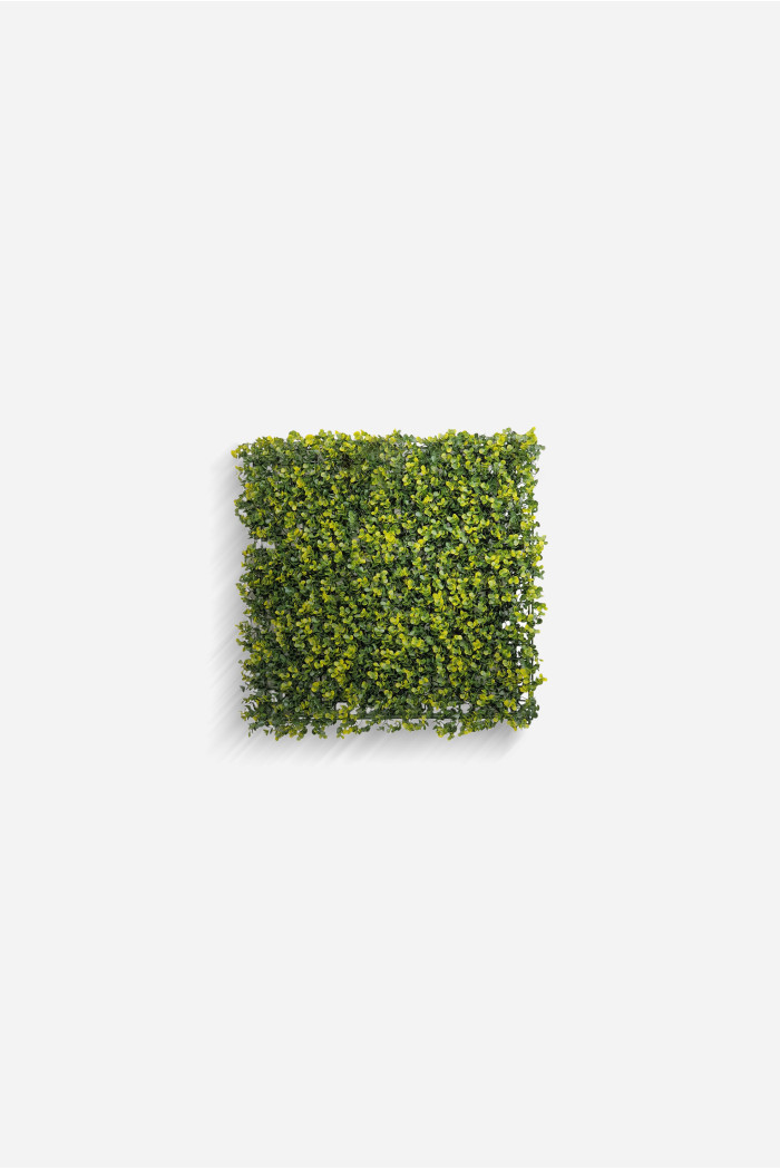 Jardín Vertical Decorativo de Polietileno de 50x50 cm - Varios Modelos