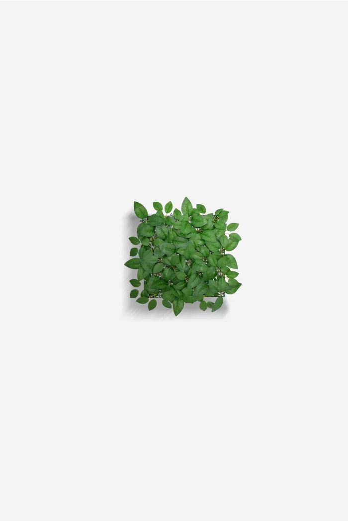 Jardín Vertical Decorativo de Polietileno de 33x33 cm - 2 Modelos
