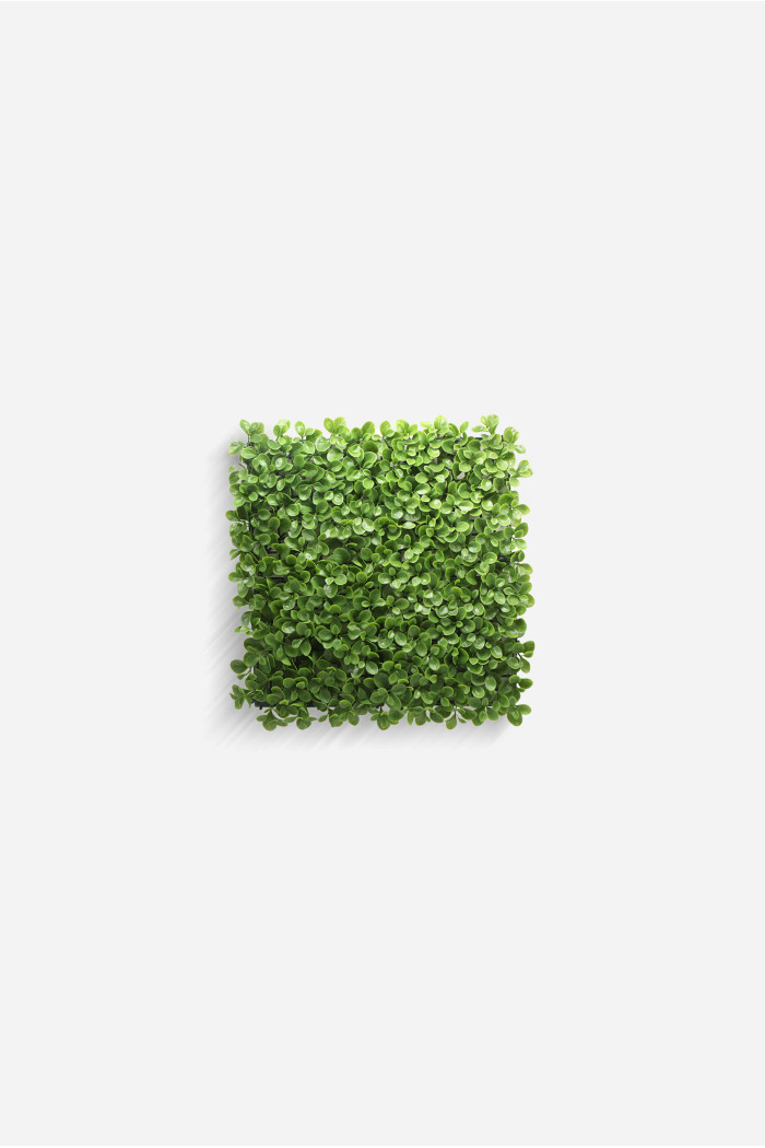 Jardín Vertical Decorativo de Polietileno de 50x50 cm - Varios Modelos