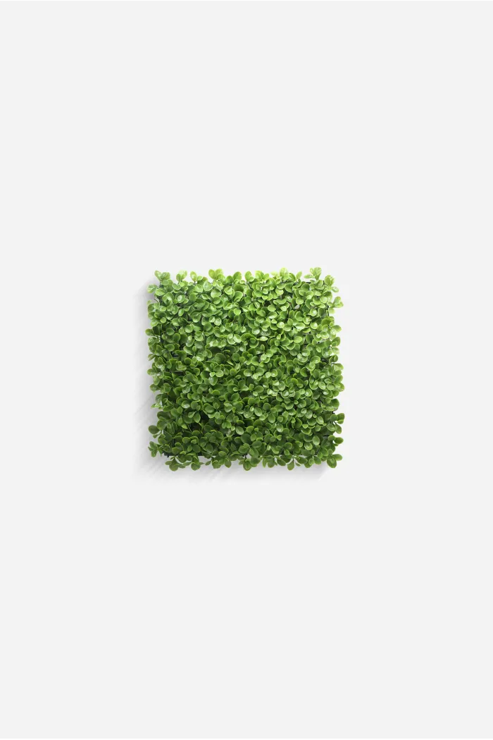 Jardín Vertical Decorativo de Polietileno de 50x50 cm - Varios Modelos
