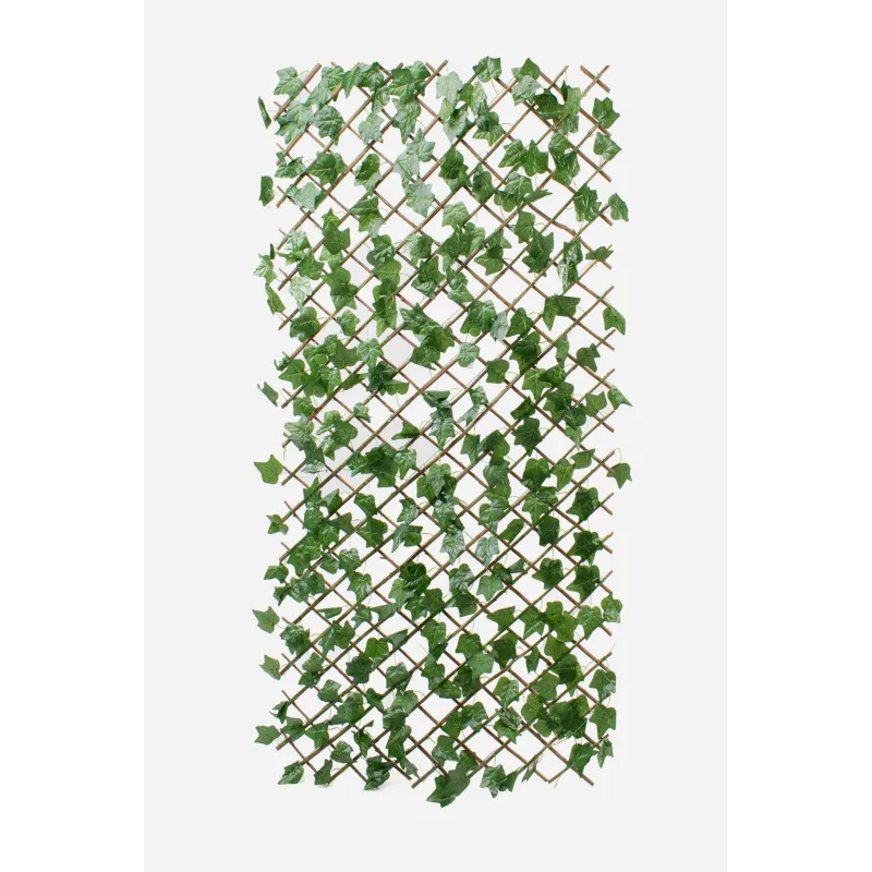 Celosía de Mimbre Extensible con Hojas de 200x100 cm - Varios Modelos