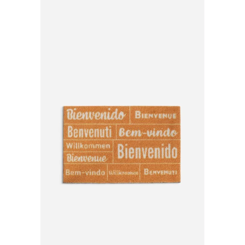 Felpudo sintético (38 x 58 cm) - Bienvenido